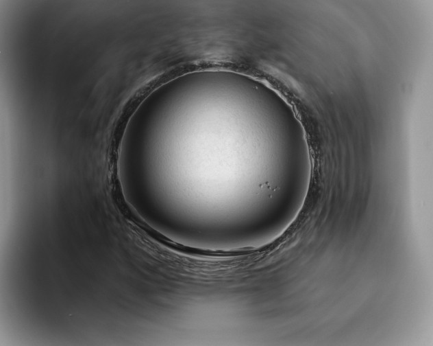X0000094941160200711291347