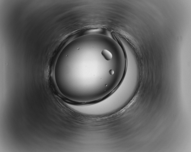 X0000094941161200711291347