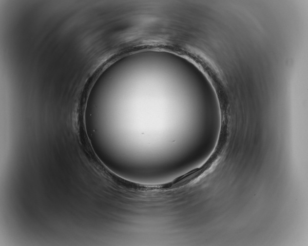 X0000094941162200711291347