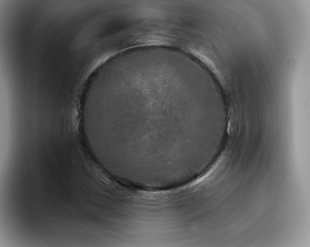 X0000094941163200711291347