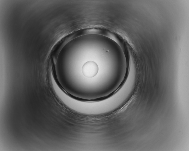 X0000094941165200711291347