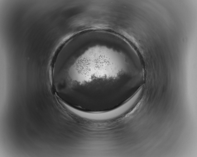 X0000094941171200711291347