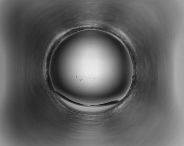X0000094941172200711291347
