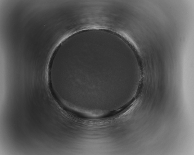 X0000094941173200711291347