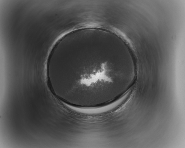 X0000094941174200711291347