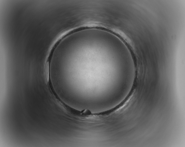 X0000094941175200711291347