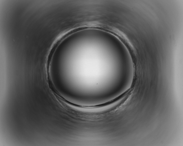 X0000094941176200711291347