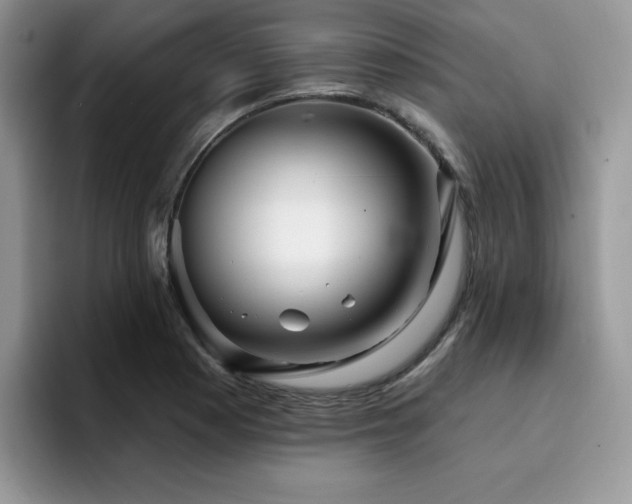 X0000094941177200711291347