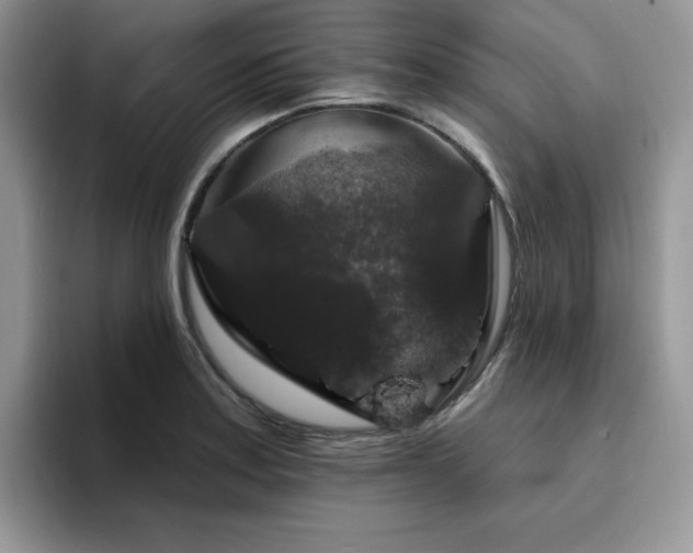 X0000094941179200711291347