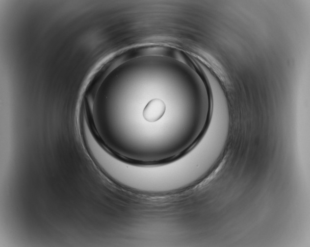 X0000094941180200711291347