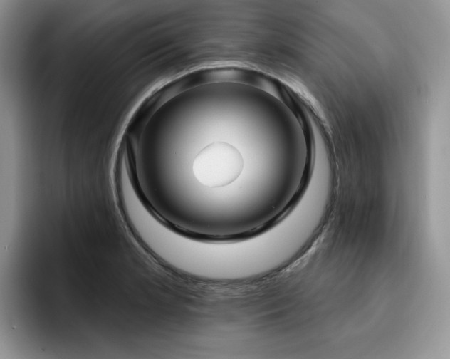 X0000094941181200711291347