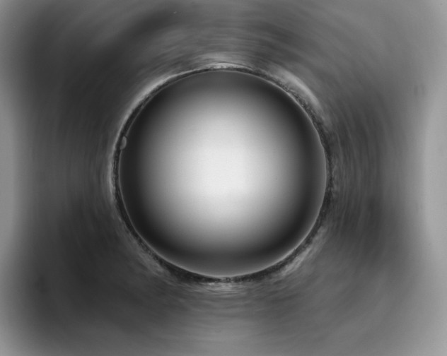 X0000094941182200711291347