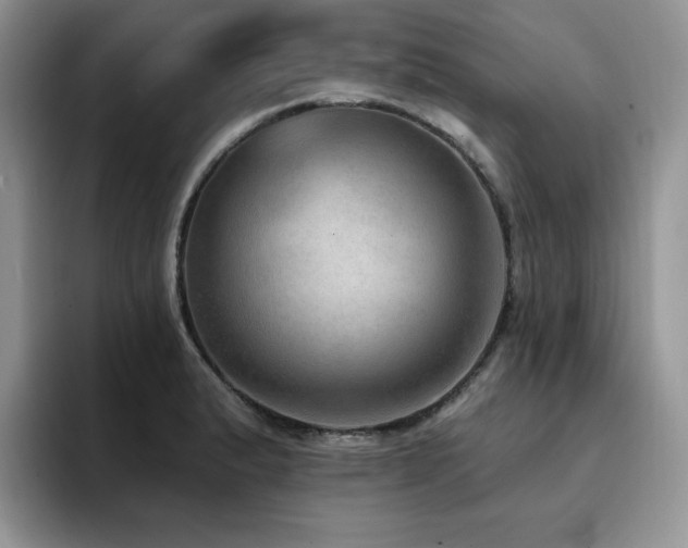 X0000094941183200711291347