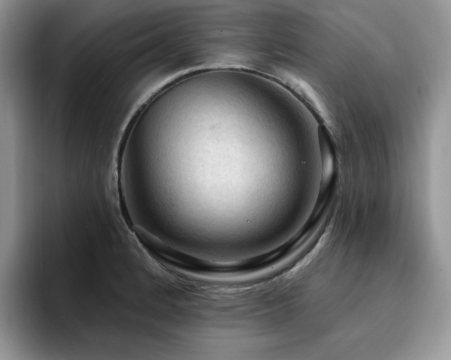 X0000094941184200711291347