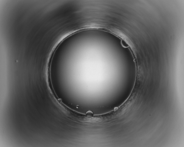 X0000094941187200711291347