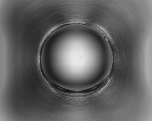 X0000094941188200711291347
