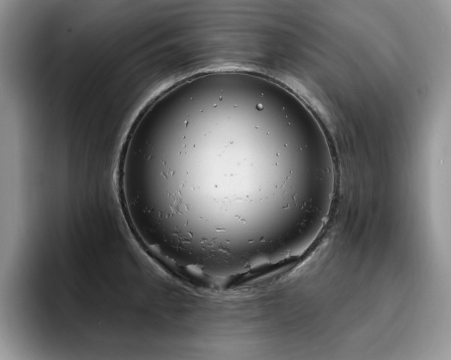 X0000094941189200711291347