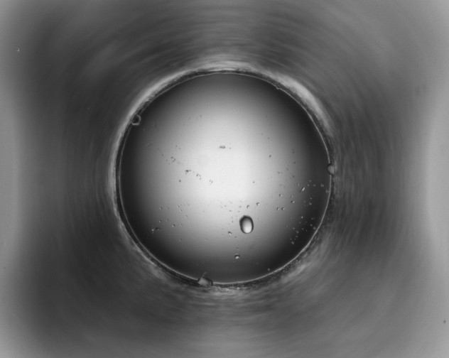 X0000094941191200711291347