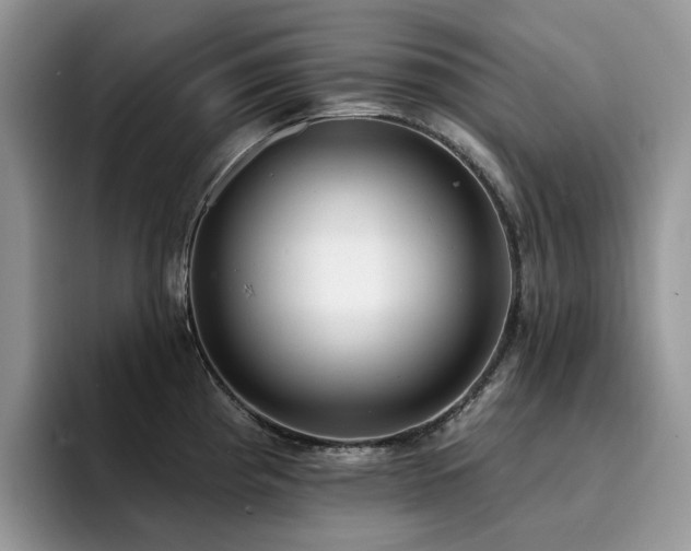 X0000094941193200711291347