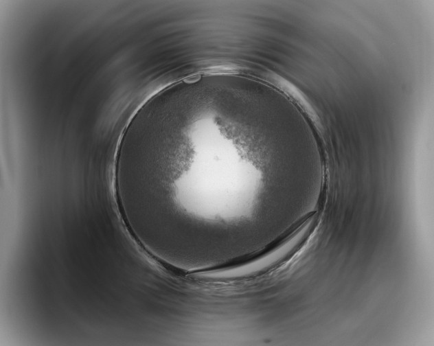 X0000094941194200711291347