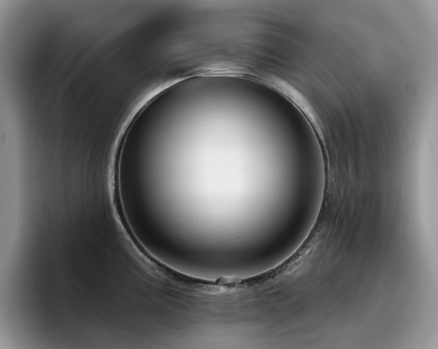 X0000094941195200711291347