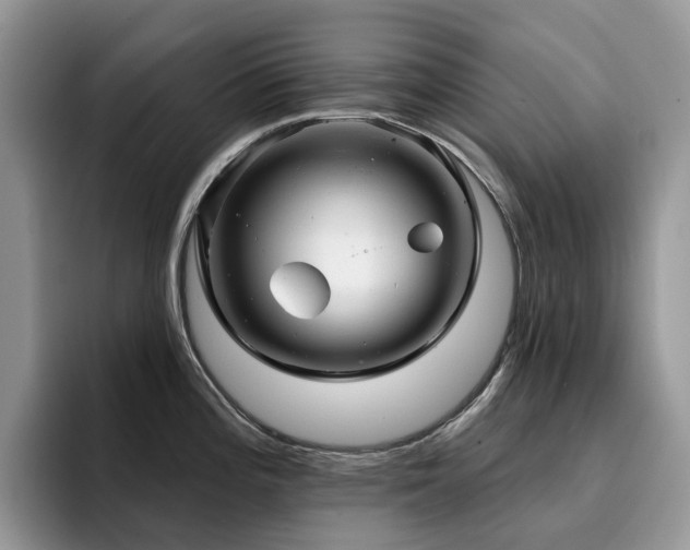X0000094941196200711291347