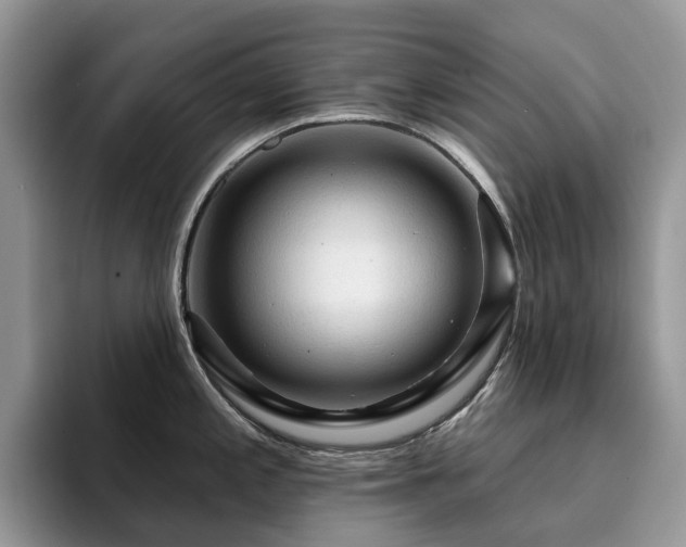 X0000094941197200711291347
