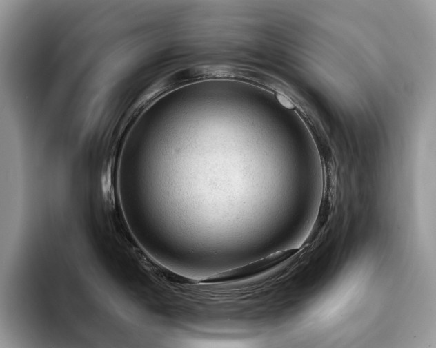 X0000094941198200711291347