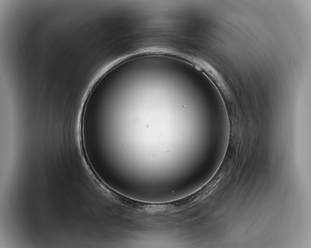 X0000094941199200711291347