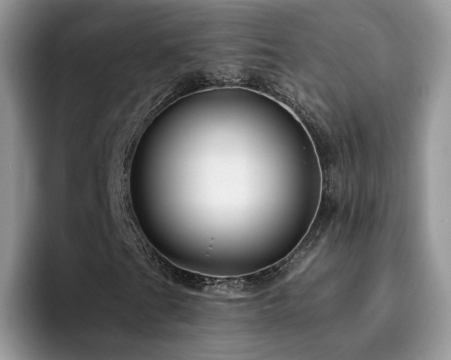 X0000094941201200711291346