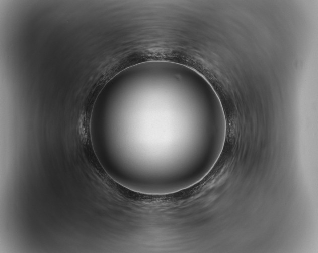 X0000094941202200711291346