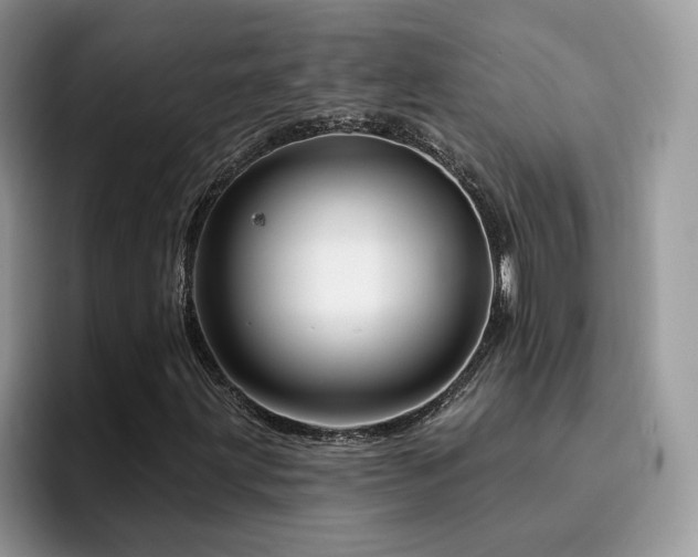 X0000094941203200711291346