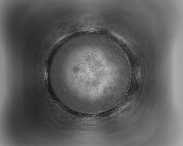 X0000094941206200711291346