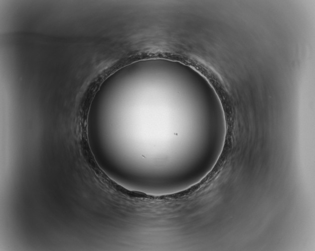 X0000094941207200711291346