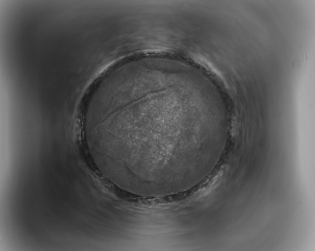 X0000094941208200711291346