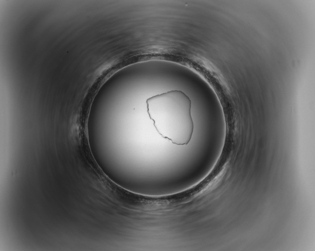 X0000094941210200711291346