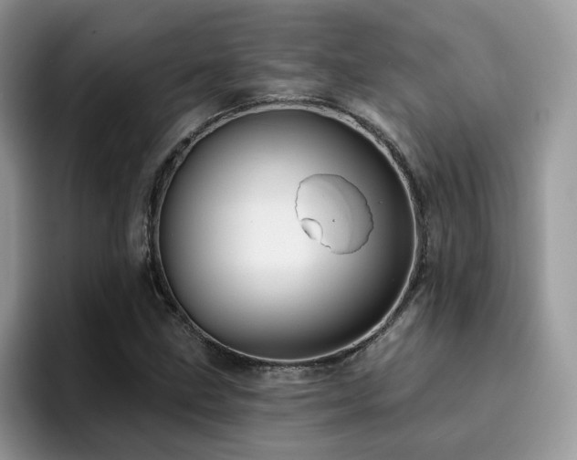 X0000094941211200711291346
