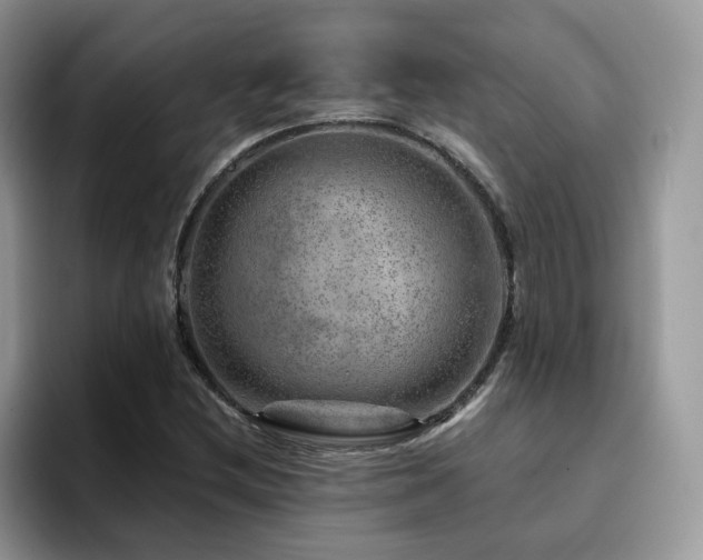 X0000094941212200711291346