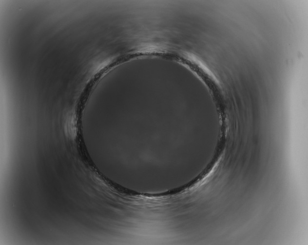 X0000094941213200711291346