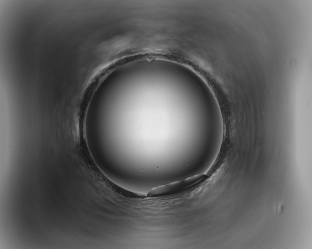 X0000094941214200711291346