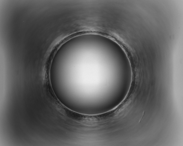 X0000094941215200711291346