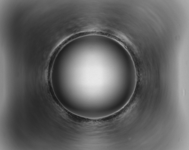 X0000094941216200711291346