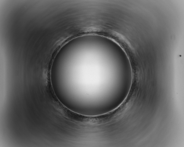 X0000094941217200711291346