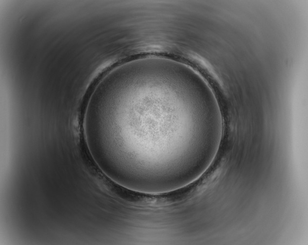 X0000094941218200711291346