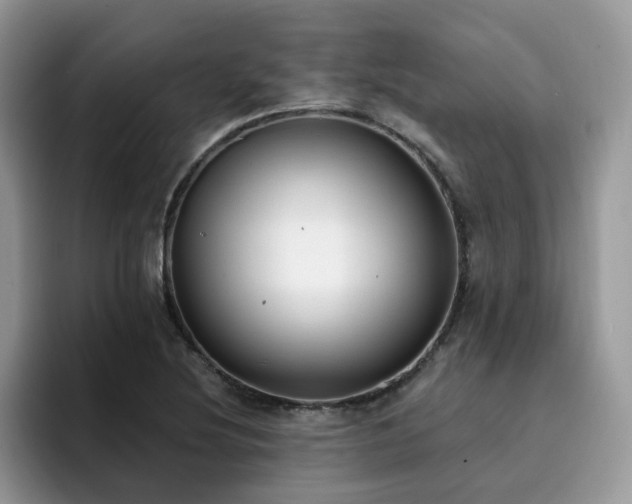 X0000094941220200711291346
