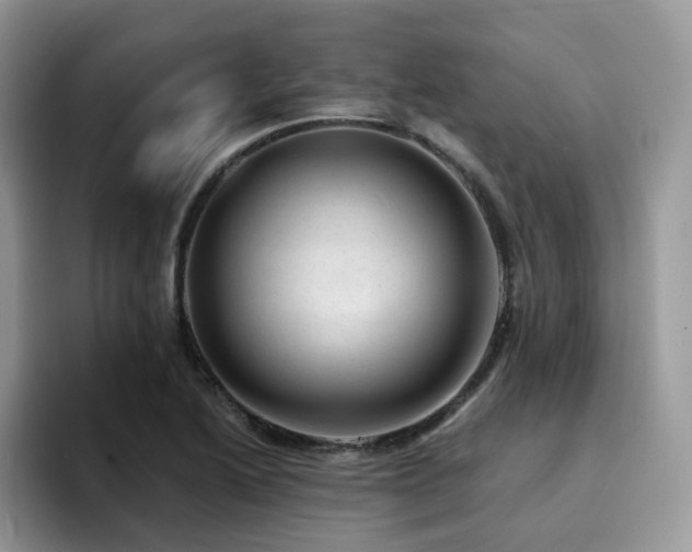 X0000094941222200711291346