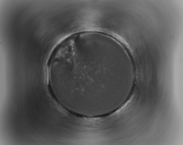 X0000094941223200711291346