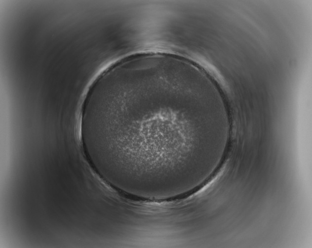 X0000094941224200711291346