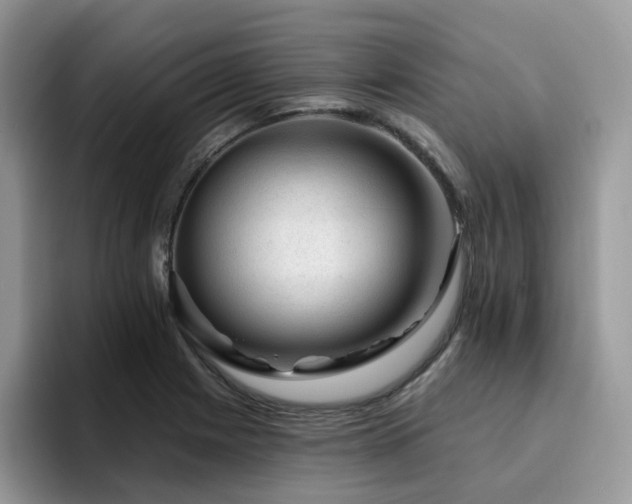 X0000094941225200711291347