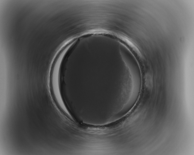 X0000094941229200711291347